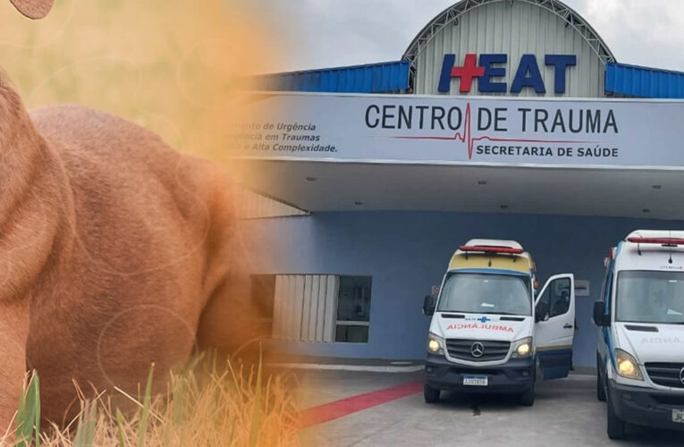 MENINA DE 7 ANOS É ATACADA POR PITBULL EM CASA NO BAIRRO GEBARA, EM ITABORAÍ